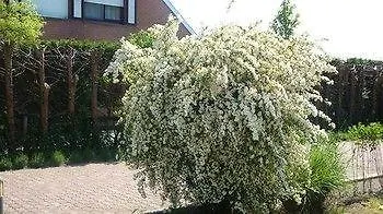 Yaca Bed & Breakfast