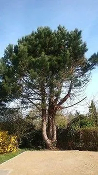 Yaca Alojamento de Acomodação e Pequeno-almoço